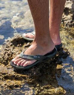 REEF SANDALS OASIS BLACK -Ride The Boards reef infradito oasis black 7