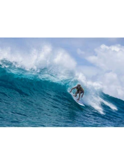 TORQ TET 8'0" LONG WHITE + PINLINE 14 TORQ TET 8'0" LONG WHITE + PINLINE -Ride The Boards torq tet 8 0 longboard white pinline 6