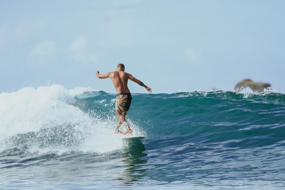 Ride The Boards -Ride The Boards kayan longboard blog